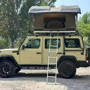 2024 BJ80